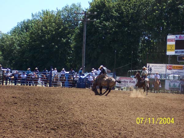 frolic rodeo 5